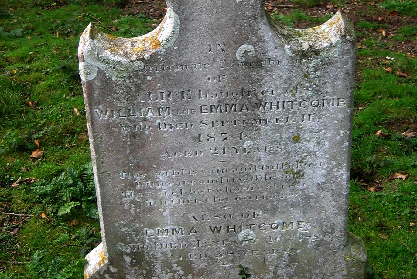 click image to return