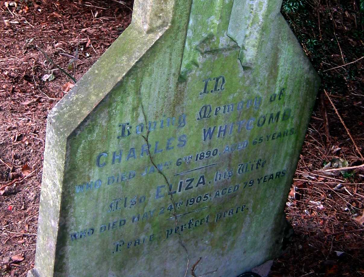 click image to return