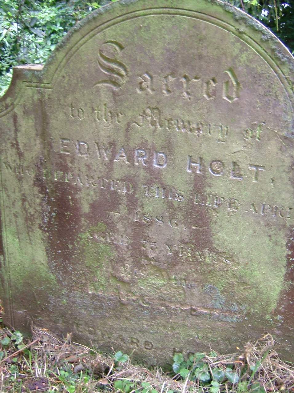 click image to return