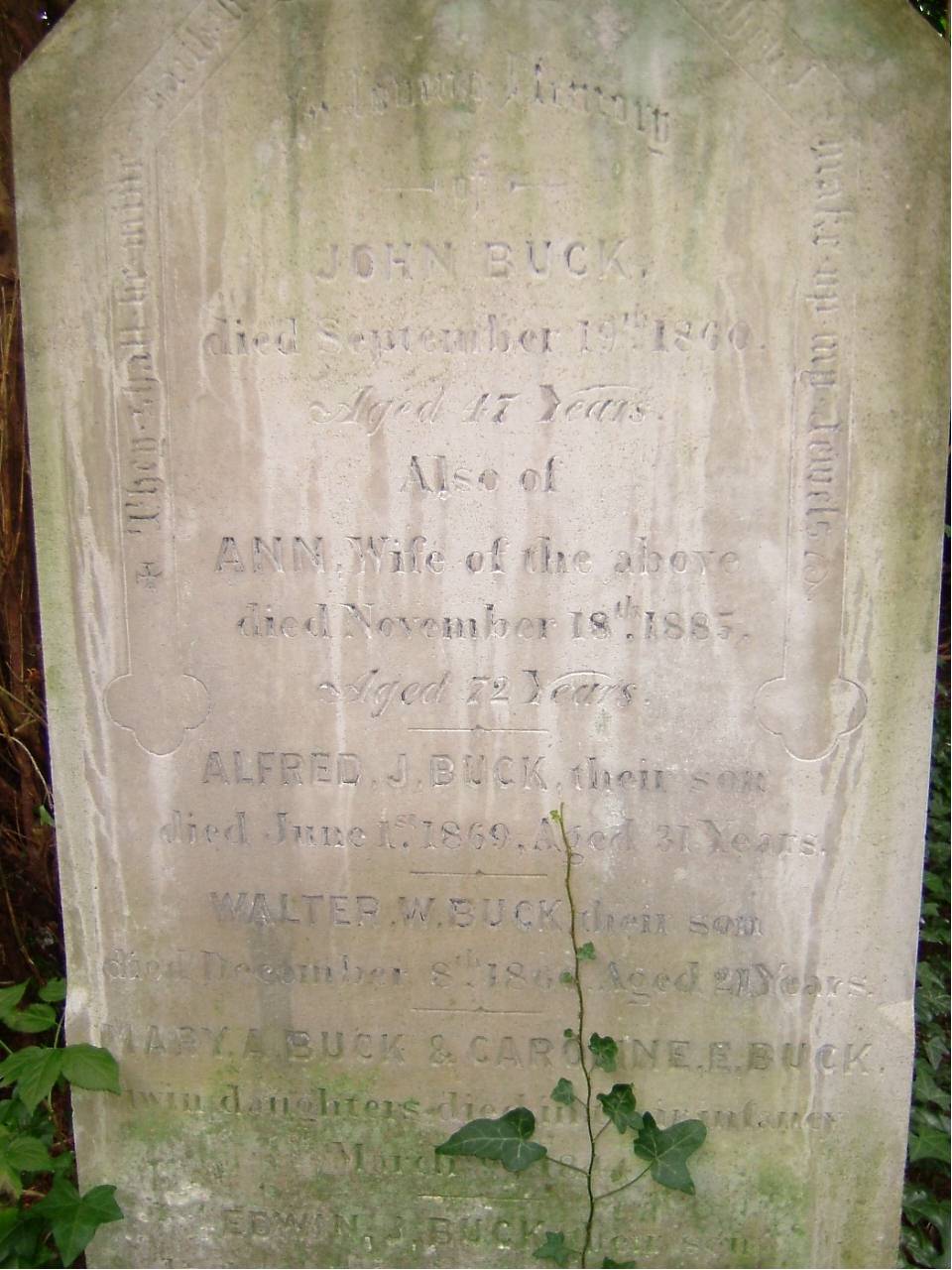 click image to return