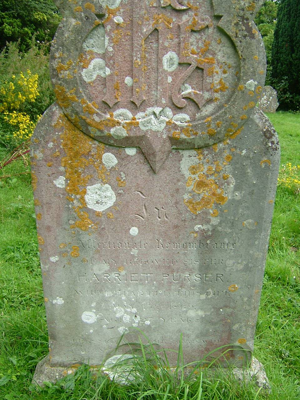 click image to return