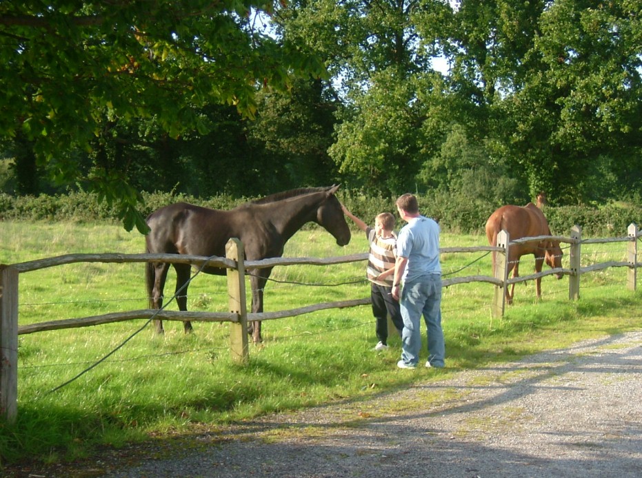 Tyneside visitors chat the neighbours
click for further image