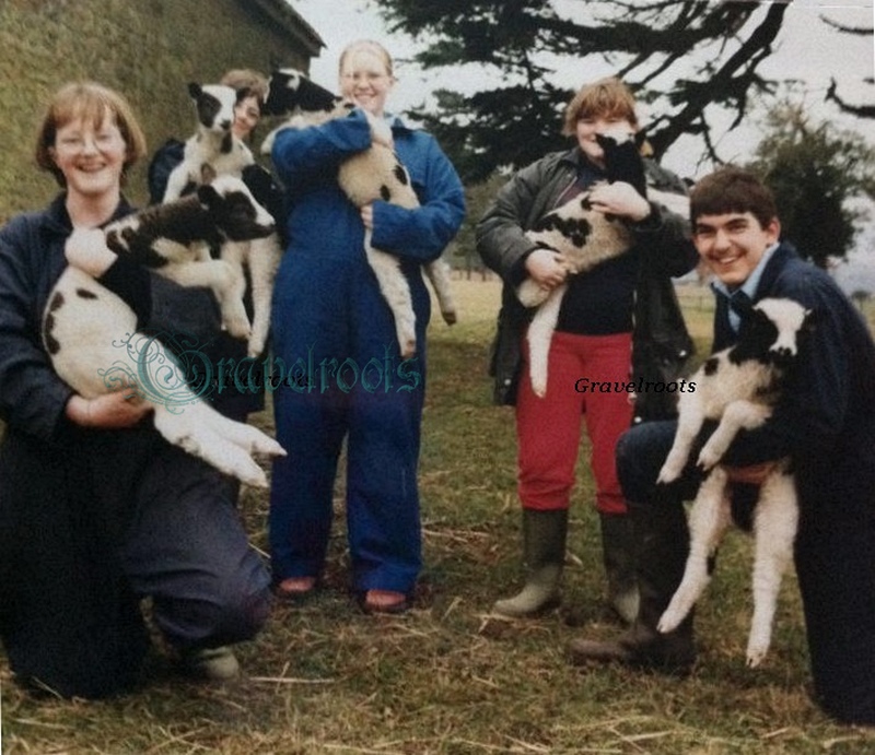 St. Cuthmans School Farm friends, Stedham - click to return