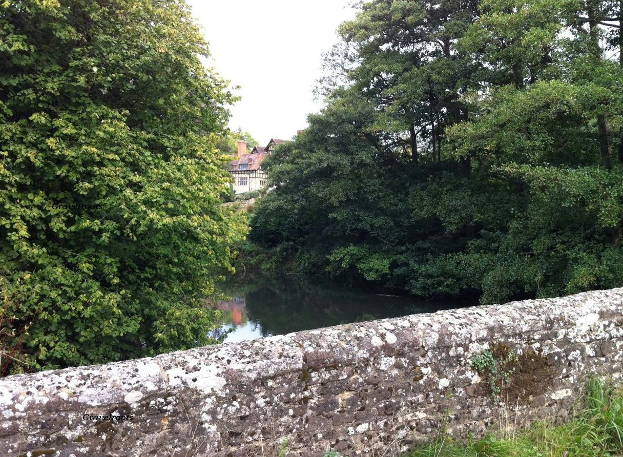 click image to return