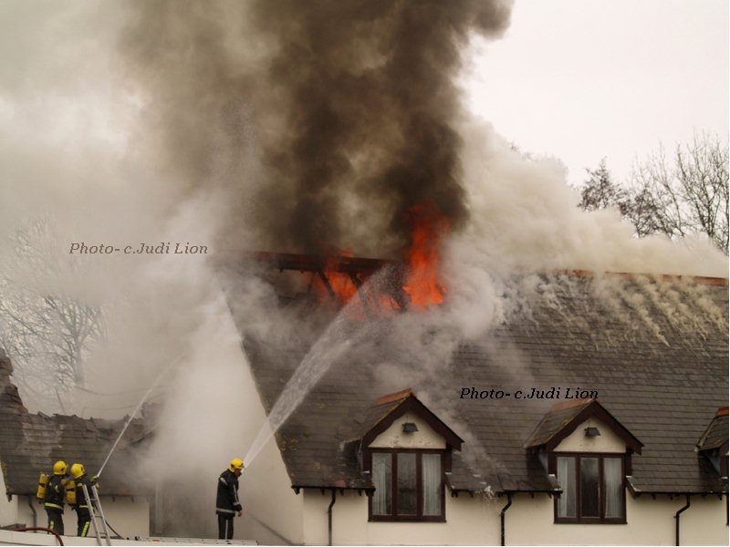 click image to return